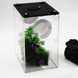 Maxbell Reptile Feeding Box Transparent Cage Hatching Container for Lizards Frogs