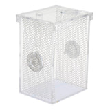 Maxbell Small Reptiles Feed Box For Mantis, Centipede, Spider, etc L