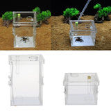 Maxbell Small Reptiles Feed Box For Mantis, Centipede, Spider, etc L
