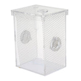 Maxbell Small Reptiles Feed Box For Mantis, Centipede, Spider, etc L