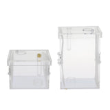 Maxbell Small Reptiles Feed Box For Mantis, Centipede, Spider, etc L