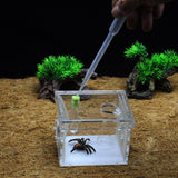 Maxbell Small Reptiles Feed Box For Mantis, Centipede, Spider, etc L