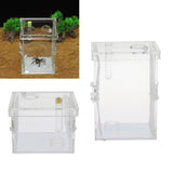Maxbell Small Reptiles Feed Box For Mantis, Centipede, Spider, etc L
