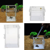 Maxbell Small Reptiles Feed Box For Mantis, Centipede, Spider, etc L