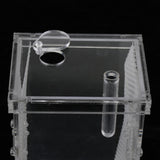 Maxbell Small Reptiles Feed Box For Mantis, Centipede, Spider, etc L