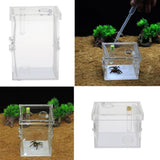 Maxbell Small Reptiles Feed Box For Mantis, Centipede, Spider, etc L