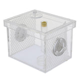 Maxbell Small Reptiles Feed Box For Mantis, Centipede, Spider, etc S