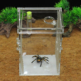 Maxbell Small Reptiles Feed Box For Mantis, Centipede, Spider, etc S