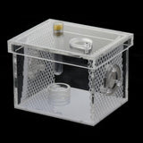 Maxbell Small Reptiles Feed Box For Mantis, Centipede, Spider, etc S