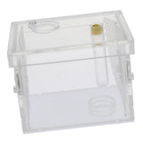 Maxbell Small Reptiles Feed Box For Mantis, Centipede, Spider, etc S