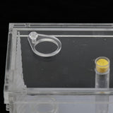 Maxbell Small Reptiles Feed Box For Mantis, Centipede, Spider, etc S