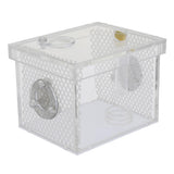 Maxbell Small Reptiles Feed Box For Mantis, Centipede, Spider, etc S