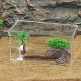 Maxbell Arylic Reptile & Amphibian Terrarium Box for Snakes Lizards Turtles Spiders