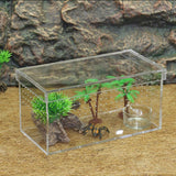 Maxbell Arylic Reptile & Amphibian Terrarium Box for Snakes Lizards Turtles Spiders