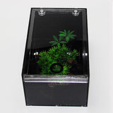 Maxbell Clear Acrylic Box Pet Reptile Transport Breeding Feeding Case 23 x 15 x 12cm