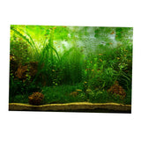 Max PVC Aquarium Background Poster, Fish Tank Plants Landscape Decor 122x46cm