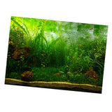 Max PVC Aquarium Background Poster, Fish Tank Plants Landscape Decor 122x46cm