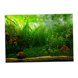 Max PVC Aquarium Background Poster, Fish Tank Plants Landscape Decor 122x46cm