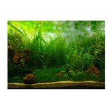 Max PVC Aquarium Background Poster, Fish Tank Plants Landscape Decor 122x61cm