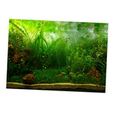 Max PVC Aquarium Background Poster, Fish Tank Plants Landscape Decor 122x61cm