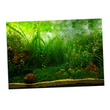 Max PVC Aquarium Background Poster, Fish Tank Plants Landscape Decor 122x61cm