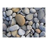 Max Aquarium Stone Background, Adhesive Poster Fish Tank Decor Sticker 61x41cm