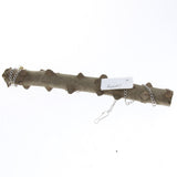 Max Wild Natural Prickly Wood Stand Perch Swing For Bird Parrot L