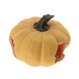 Maxbell Pumpkin Shape Cave Reptiles Gecko Lizard  Evade Cave Landscaping Decoration