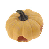Maxbell Pumpkin Shape Cave Reptiles Gecko Lizard  Evade Cave Landscaping Decoration