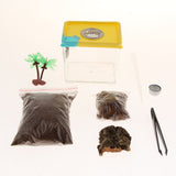 Maxbell Pet Supplies Tarantula Spider Insect Tank Transparent Breeding Container  1