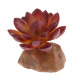 Max Succulent Plant with Resin Base Reptile Terrarium Vivarium Ornament 1