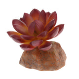 Max Succulent Plant with Resin Base Reptile Terrarium Vivarium Ornament 1