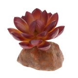 Max Succulent Plant with Resin Base Reptile Terrarium Vivarium Ornament 1