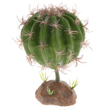 Max Succulent Plant with Resin Base Reptile Terrarium Vivarium Ornament 2