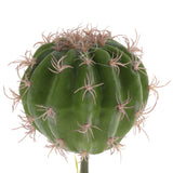 Max Succulent Plant with Resin Base Reptile Terrarium Vivarium Ornament 2