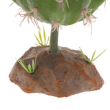 Max Succulent Plant with Resin Base Reptile Terrarium Vivarium Ornament 2