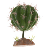 Max Succulent Plant with Resin Base Reptile Terrarium Vivarium Ornament 2