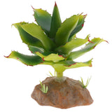 Max Succulent Plant with Resin Base Reptile Terrarium Vivarium Ornament 5