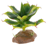 Max Succulent Plant with Resin Base Reptile Terrarium Vivarium Ornament 5