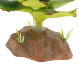 Max Succulent Plant with Resin Base Reptile Terrarium Vivarium Ornament 5