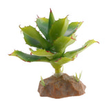Max Succulent Plant with Resin Base Reptile Terrarium Vivarium Ornament 5