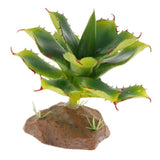 Max Succulent Plant with Resin Base Reptile Terrarium Vivarium Ornament 5