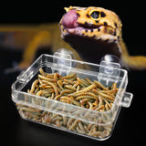 Max Reptile Anti-escape Feeder Plastic Food Bowl Water Dish for Lizard