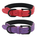 Max Pet Sturdy Collar Dog Cat Puppy Adjustable Buckle Neck Strap Red M