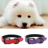 Max Pet Sturdy Collar Dog Cat Puppy Adjustable Buckle Neck Strap Red M