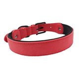 Max Pet Sturdy Collar Dog Cat Puppy Adjustable Buckle Neck Strap Red M