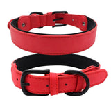Max Pet Sturdy Collar Dog Cat Puppy Adjustable Buckle Neck Strap Red M