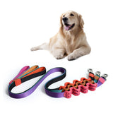Maxbell Pet Dog Walking Training Belt Bungee Leash Anti-Shock Stretch Rope Black