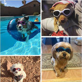 Max Folding Eye Wear Waterproof UV Protection Pet Dog Cat Glasses  Black