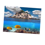 Max 3D Aquarium Background Poster Backdrop Sticker Fish Tank Decorations M